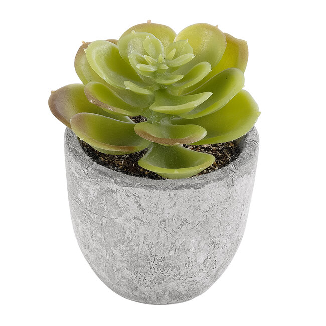 Artificial Garden SUCCULENT SEDEVERIA 21021 Διακοσμητικό Φυτό Παχύφυτο Σεντεβέρια Υ8.5cm Artificial Garden SUCCULENT SEDEVERIA 21021 Διακοσμητικό Φυτό Παχύφυτο Σεντεβέρια Υ8.5cm