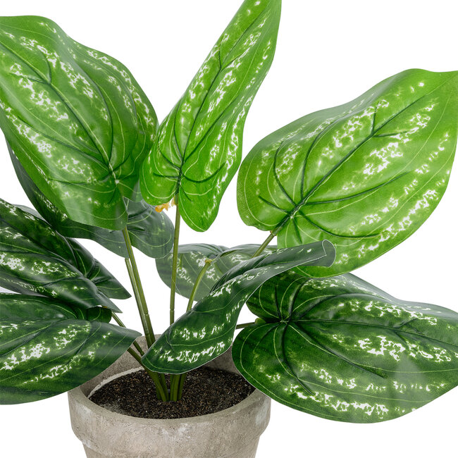 Artificial Garden SILVER POTHOS POTTED PLANT 20896 Διακοσμητικό Φυτό Πόθος Φ40 x Υ33cm Artificial Garden SILVER POTHOS POTTED PLANT 20896 Διακοσμητικό Φυτό Πόθος Φ40 x Υ33cm