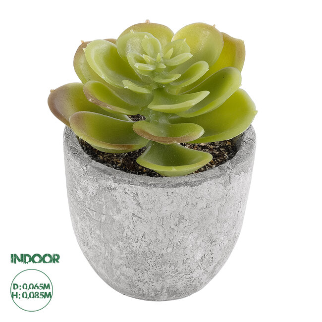 Artificial Garden SUCCULENT SEDEVERIA 21021 Διακοσμητικό Φυτό Παχύφυτο Σεντεβέρια Υ8.5cm Artificial Garden SUCCULENT SEDEVERIA 21021 Διακοσμητικό Φυτό Παχύφυτο Σεντεβέρια Υ8.5cm