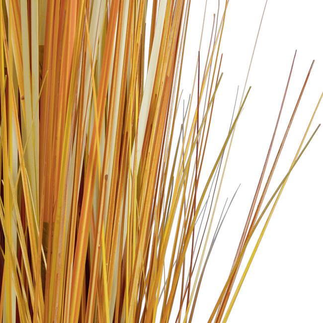 Artificial Garden BUCHANANS SEDGE GRASS 20115 Τεχνητό Διακοσμητικό Φυτό Γρασίδι του Μπουχανάν Υ120cm Artificial Garden BUCHANANS SEDGE GRASS 20115 Τεχνητό Διακοσμητικό Φυτό Γρασίδι του Μπουχανάν Υ120cm