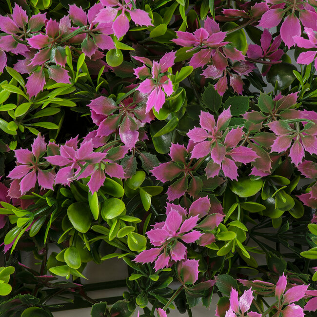 Artificial Garden CYPHEA HYSSOPIFOLIA 20350 Τεχνητό Διακοσμητικό Πάνελ Λουλουδιών - Κάθετος Κήπος σύνθεση Άνθος Κουφέας Μ50 x Π50 x Υ11cm - 6