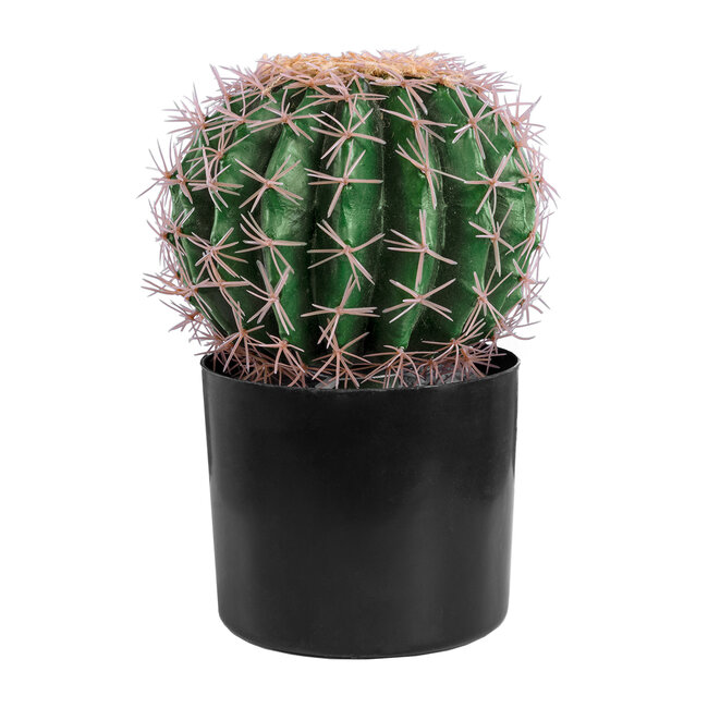 Artificial Garden FEROCACTUS 20092 Τεχνητό Διακοσμητικό Φυτό Φερόκακτος Υ26cm Artificial Garden FEROCACTUS 20092 Τεχνητό Διακοσμητικό Φυτό Φερόκακτος Υ26cm