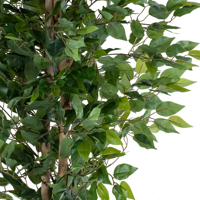 Artificial Garden FICUS BENJAMINA TREE 20417 Τεχνητό Διακοσμητικό Φυτό Φίκος Μπενζαμίνη Υ210cm
