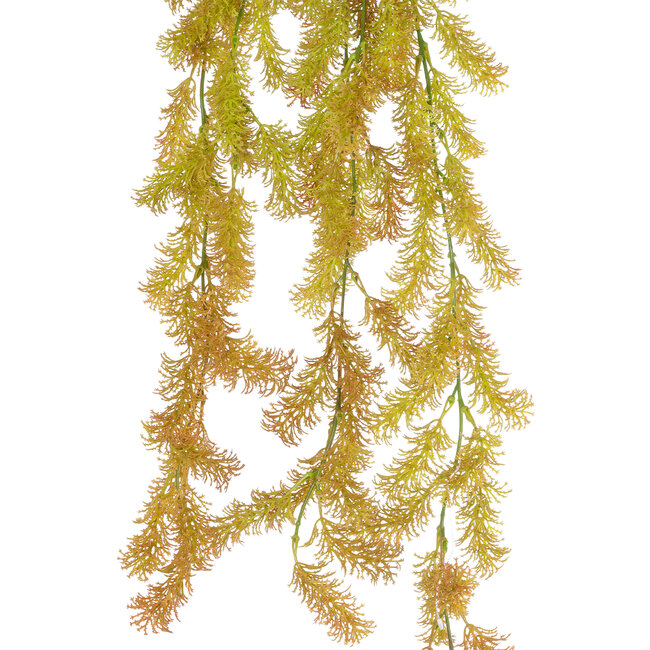 Artificial Garden HANGING CYPRESS 20820 Τεχνητό Διακοσμητικό Κρεμαστό Φυτό Κυπαρίσσι Μ25 x Π15 x Υ80cm Artificial Garden HANGING CYPRESS 20820 Τεχνητό Διακοσμητικό Κρεμαστό Φυτό Κυπαρίσσι Μ25 x Π15 x Υ80cm
