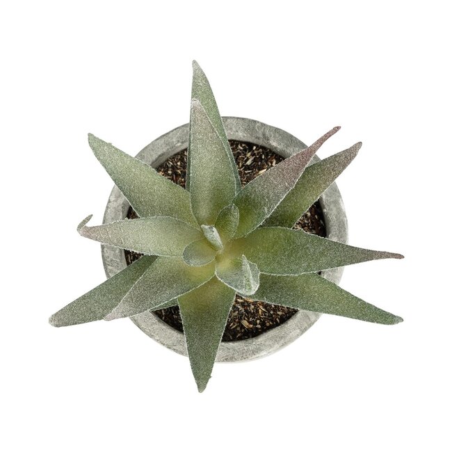 Artificial Garden SUCCULENT ALOE 21022 Τεχνητό Διακοσμητικό Φυτό Αλόη Μ6 x Π6 x Υ12cm Artificial Garden SUCCULENT ALOE 21022 Τεχνητό Διακοσμητικό Φυτό Αλόη Μ6 x Π6 x Υ12cm