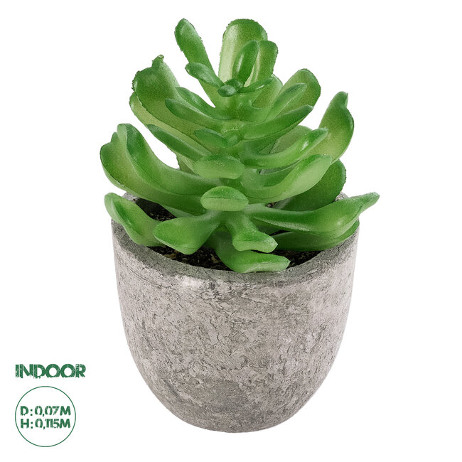 Artificial Garden SUCCULENT CRASSULA 21014 Διακοσμητικό Φυτό Παχύφυτο Κράσουλα Υ11.5cm Artificial Garden SUCCULENT CRASSULA 21014 Διακοσμητικό Φυτό Παχύφυτο Κράσουλα Υ11.5cm