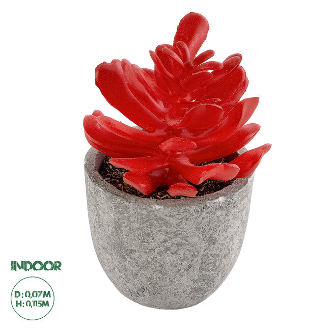 Artificial Garden SUCCULENT CRASSULA 21013 Διακοσμητικό Φυτό Παχύφυτο Κράσουλα Υ11.5cm Artificial Garden SUCCULENT CRASSULA 21013 Διακοσμητικό Φυτό Παχύφυτο Κράσουλα Υ11.5cm