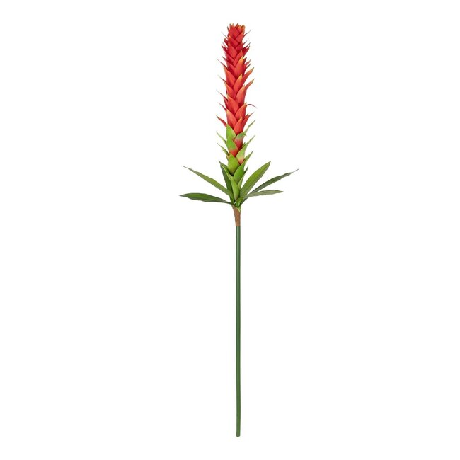 Artificial Garden RED GINGER BUD BRANCH 21393 Τεχνητό Διακοσμητικό Κόκκινο Κλαδί Ginger Y124cm