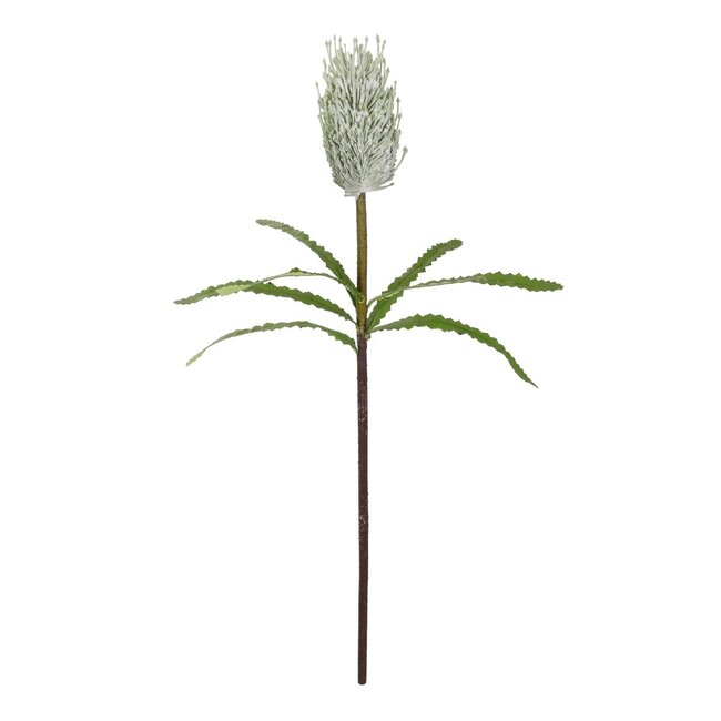 Artificial Garden WHITE STIPA FRUIT BRANCH 21374 Τεχνητό Διακοσμητικό Κλαδί Στίπα Y69cm