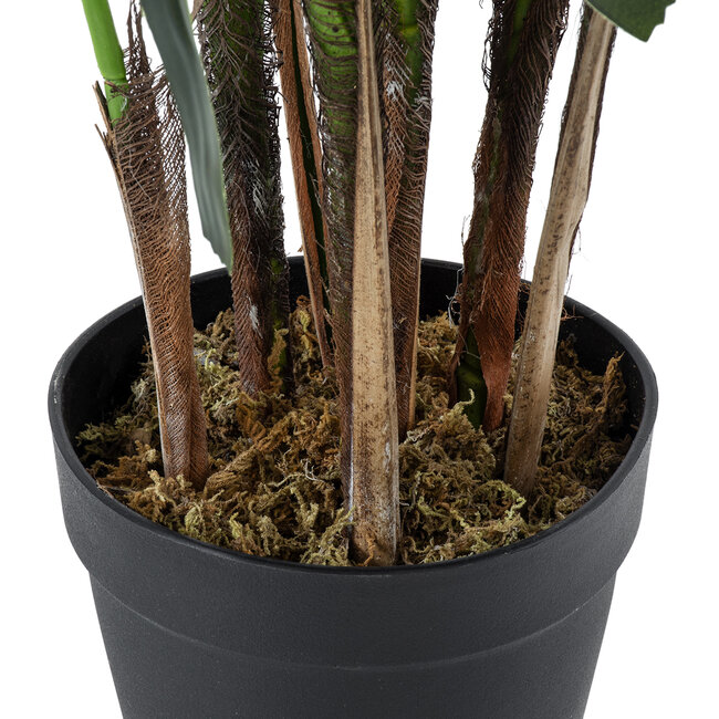 Artificial Garden BROADLEAF LADY PALM TREE 20386 Τεχνητό Διακοσμητικό Φυτό Πλατύφυλλος Φοίνικας Μπαμπού Υ120cm - 5