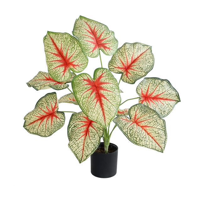 Artificial Garden CALADIUM 20932 Διακοσμητικό Φυτό Καλάντιουμ Υ55cm