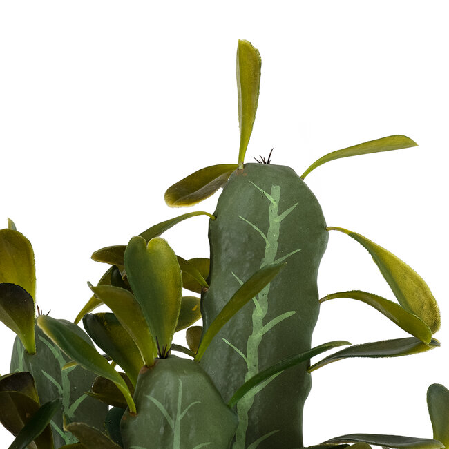 Artificial Garden CEREUS JAMACARU CACTUS 20102 Τεχνητό Διακοσμητικό Φυτό Κάκτος Κηρίος Υ62cm Artificial Garden CEREUS JAMACARU CACTUS 20102 Τεχνητό Διακοσμητικό Φυτό Κάκτος Κηρίος Υ62cm