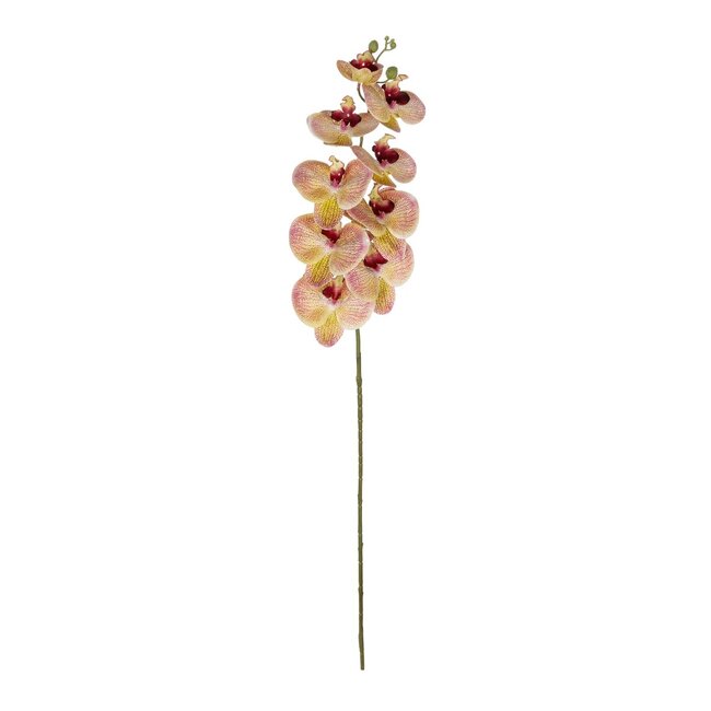 Artificial Garden PING SALMON ORCHID BRANCH 21405 Τεχνητό Διακοσμητικό Κλαδί  Ροζ Ορχιδέα Y95cm