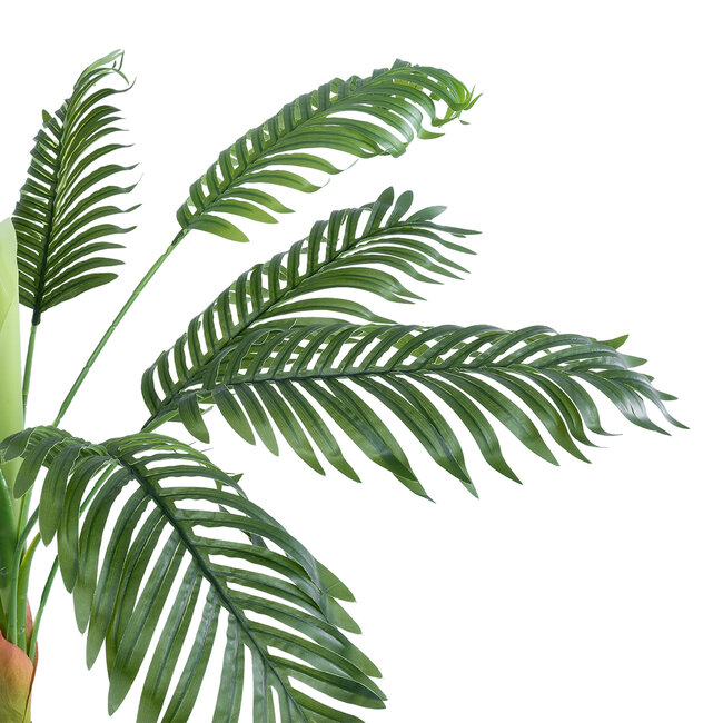 Artificial Garden ARECA PALM 20926 Διακοσμητικό Φυτό Αρέκα Υ90cm Artificial Garden ARECA PALM 20926 Διακοσμητικό Φυτό Αρέκα Υ90cm