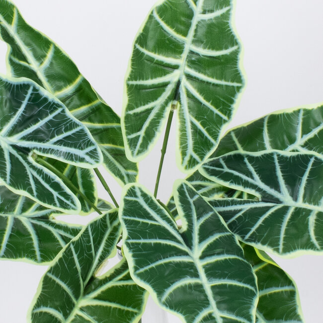 ALOCASIA 78225 Τεχνητό Φυτό Αλοκάσια - Μπουκέτο Διακοσμητικών Φυτών - Κλαδιών με Φύλλωμα Πράσινο Υ43cm
