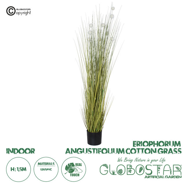 Artificial Garden ERIOPHORUM ANGUSTIFOLIUM COTTON GRASS 20073 Τεχνητό Διακοσμητικό Φυτό Γρασίδι του Βαμβακιού Υ150cm
