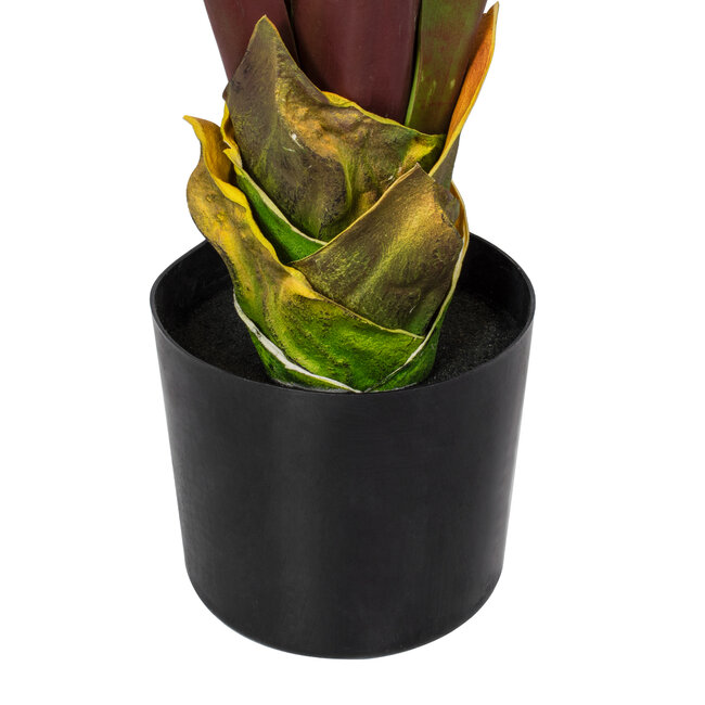 Artificial Garden BLOODY BANANA TREE 20119 Τεχνητό Διακοσμητικό Φυτό Αιματόφυλλη Μπανανιά - Μπανανόδεντρο Υ220cm - 4