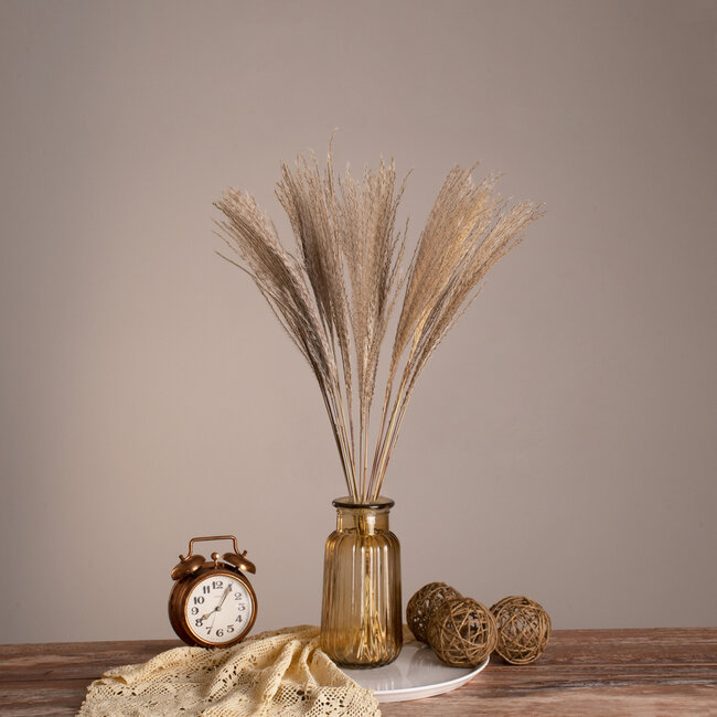 MISCANTHUS 36535 Αποξηραμένο Φυτό Μίσχανθος - Μπουκέτο Διακοσμητικών Κλαδιών Μπεζ Υ60cm