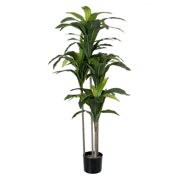 Artificial Garden DRACAENA SILK 20043 Τεχνητό Διακοσμητικό Φυτό Δράκαινα Υ130cm Artificial Garden DRACAENA SILK 20043 Τεχνητό Διακοσμητικό Φυτό Δράκαινα Υ130cm