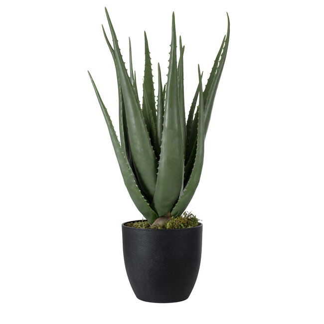 Artificial Garden ALOE 20066 Τεχνητό Διακοσμητικό Φυτό Αλόη Υ65cm Artificial Garden ALOE 20066 Τεχνητό Διακοσμητικό Φυτό Αλόη Υ65cm