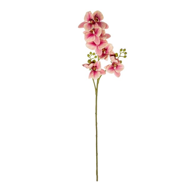 Artificial Garden CHAMPAGNE PINK ORCHID  BRANCH 21411 Τεχνητό Διακοσμητικό Κλαδί Σαμπανί Ορχιδέα Y70cm