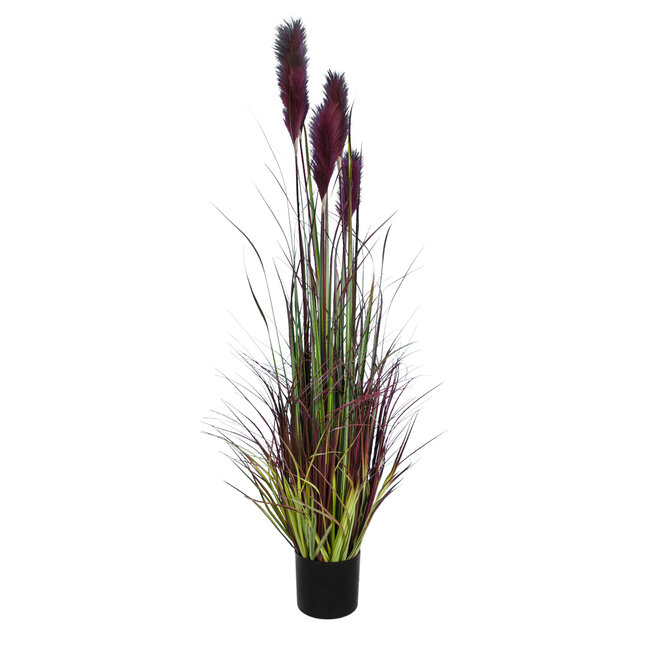 Artificial Garden BLOODY PAMPAS GRASS 20110 Τεχνητό Διακοσμητικό Φυτό Αιματόφυλλο Γρασίδι της Πάμπας Υ150cm Artificial Garden BLOODY PAMPAS GRASS 20110 Τεχνητό Διακοσμητικό Φυτό Αιματόφυλλο Γρασίδι της Πάμπας Υ150cm
