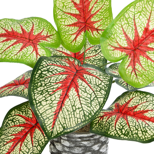 Artificial Garden CALADIUM 20891 Τεχνητό Διακοσμητικό Φυτό Τροπικό Φυτό Φ40 x Υ33cm - 3