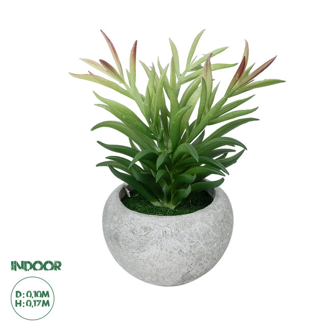 Artificial Garden SUCCULENT CRASSULA POTTED PLANT 21038 Διακοσμητικό Φυτό Κρασούλα Φ10 x Υ17cm Artificial Garden SUCCULENT CRASSULA POTTED PLANT 21038 Διακοσμητικό Φυτό Κρασούλα Φ10 x Υ17cm
