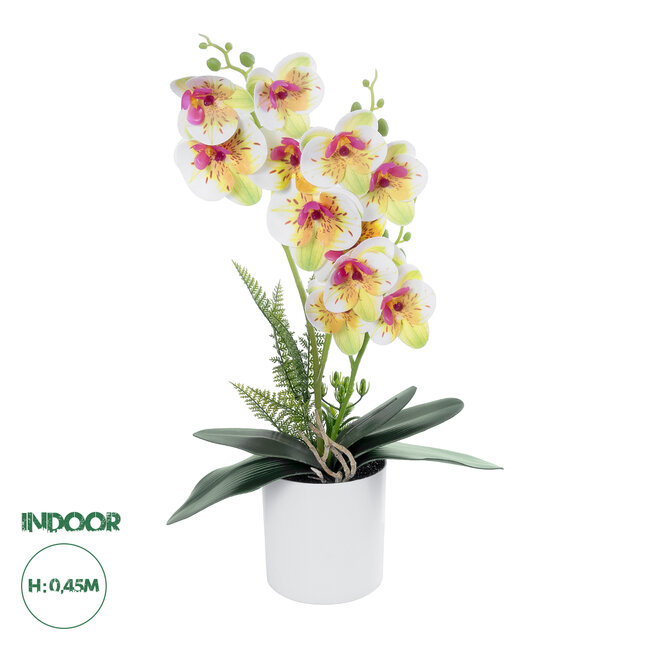 Artificial Garden WHITE - FUCHSIA ORCHID 21078 Διακοσμητικό Φυτό Λευκή - Φούξια Ορχιδέα Υ45cm Artificial Garden WHITE - FUCHSIA ORCHID 21078 Διακοσμητικό Φυτό Λευκή - Φούξια Ορχιδέα Υ45cm