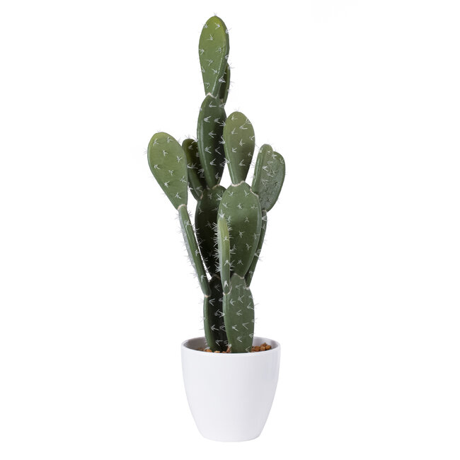 Artificial Garden OPUNTIA FICUS-INDICA CACTUS 20096 Τεχνητό Διακοσμητικό Φυτό Κάκτος Φραγκοσυκιά Υ60cm Artificial Garden OPUNTIA FICUS-INDICA CACTUS 20096 Τεχνητό Διακοσμητικό Φυτό Κάκτος Φραγκοσυκιά Υ60cm
