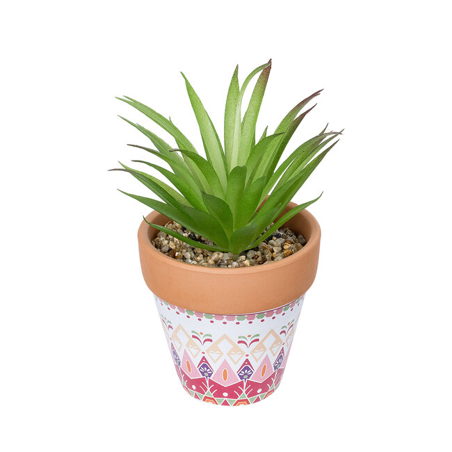 Artificial Garden AIR PLANT NEOPHYTUM POTTED PLANT 21043 Διακοσμητικό Φυτό Νεόφυτο Φ12 x Υ15cm Artificial Garden AIR PLANT NEOPHYTUM POTTED PLANT 21043 Διακοσμητικό Φυτό Νεόφυτο Φ12 x Υ15cm