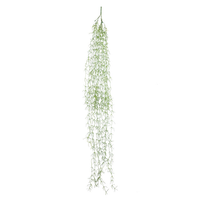 Artificial Garden TILLANDSIA HANGING BRANCH 20236 Τεχνητό Διακοσμητικό Κρεμαστό Φυτό Ισπανικό Βρύο Τιλάντσια Υ120cm Artificial Garden TILLANDSIA HANGING BRANCH 20236 Τεχνητό Διακοσμητικό Κρεμαστό Φυτό Ισπανικό Βρύο Τιλάντσια Υ120cm