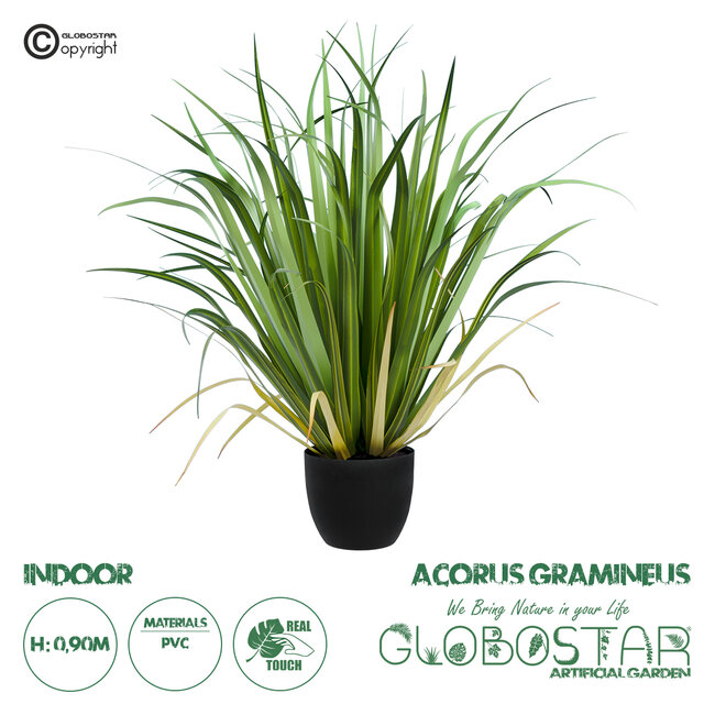 Artificial Garden ACORUS GRAMINEUS 20103 Τεχνητό Διακοσμητικό Φυτό Άκορος Υ90cm Artificial Garden ACORUS GRAMINEUS 20103 Τεχνητό Διακοσμητικό Φυτό Άκορος Υ90cm