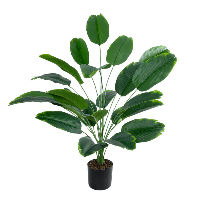 Artificial Garden YOUNG BANANA 20916 Διακοσμητικό Φυτό Νεαρή Μπανανιά Υ80cm