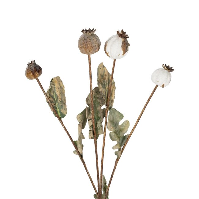 Artificial Garden POPPY FRUIT BRANCH 21433 Τεχνητό Διακοσμητικό Κλαδί Παπαρούνα Y60cm