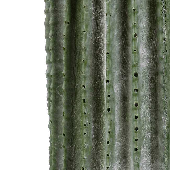 Artificial Garden CARNEGIEA CACTUS 20124 Τεχνητό Διακοσμητικό Φυτό Κάκτος Σαγκουάρο Υ70cm Artificial Garden CARNEGIEA CACTUS 20124 Τεχνητό Διακοσμητικό Φυτό Κάκτος Σαγκουάρο Υ70cm