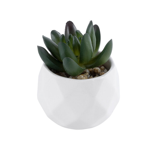 Artificial Garden SUCCULENT CRASSULA 20979 Διακοσμητικό Φυτό Παχύφυτο Κράσουλα Υ9cm Artificial Garden SUCCULENT CRASSULA 20979 Διακοσμητικό Φυτό Παχύφυτο Κράσουλα Υ9cm