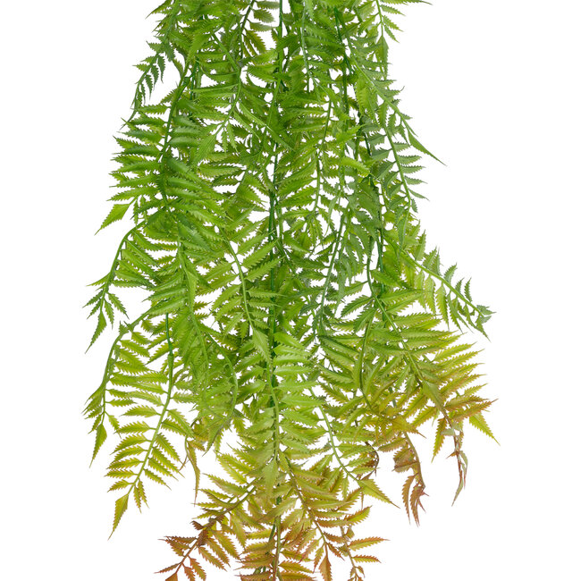 Artificial Garden HANGING FERN 20854 Τεχνητό Διακοσμητικό Κρεμαστό Φυτό Φτέρη Μ30 x Π14 x Υ85cm Artificial Garden HANGING FERN 20854 Τεχνητό Διακοσμητικό Κρεμαστό Φυτό Φτέρη Μ30 x Π14 x Υ85cm