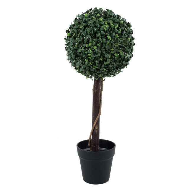 Artificial Garden BUXUS 20405 Τεχνητό Διακοσμητικό Φυτό Πυξός Υ60cm Artificial Garden BUXUS 20405 Τεχνητό Διακοσμητικό Φυτό Πυξός Υ60cm