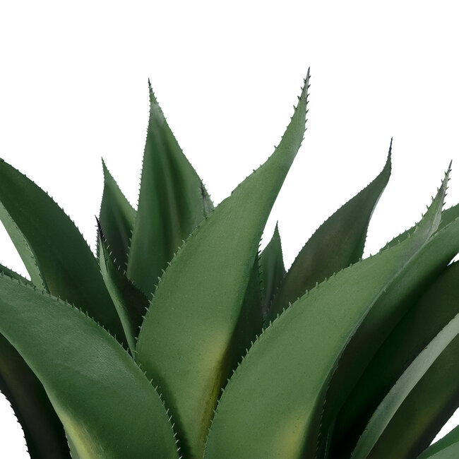 Artificial Garden SISAL AGAVE 20077 Τεχνητό Διακοσμητικό Φυτό Αγαύη Υ90cm Artificial Garden SISAL AGAVE 20077 Τεχνητό Διακοσμητικό Φυτό Αγαύη Υ90cm