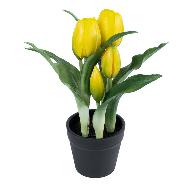 Artificial Garden YELLOW TULIP 21093 Διακοσμητικό Φυτό Κίτρινη Τουλίπα Υ23cm Artificial Garden YELLOW TULIP 21093 Διακοσμητικό Φυτό Κίτρινη Τουλίπα Υ23cm