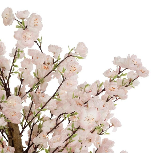 Artificial Garden PINK CHERRY 21098 Τεχνητό Διακοσμητικό Δέντρο Κερασιά Μ80 x Π80 x Υ160cm - 2