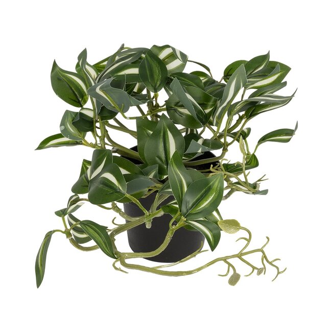 Artificial Garden ZEBRINA PLANT 20960 Διακοσμητικό Φυτό Ζεμπρίνα Φ45 x Υ22cm