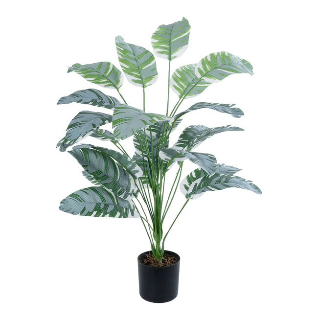Artificial Garden BANANA ZEBRA 20919 Διακοσμητικό Φυτό Μπανανιά Ζέβρα Υ80cm Artificial Garden BANANA ZEBRA 20919 Διακοσμητικό Φυτό Μπανανιά Ζέβρα Υ80cm