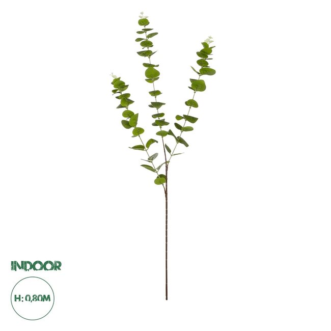 Artificial Garden EUCALYPTUS BRANCH 20484 Τεχνητό Διακοσμητικό Κλαδί Ευκάλυπτου Πράσινο Π30 x Μ30 x Υ80m