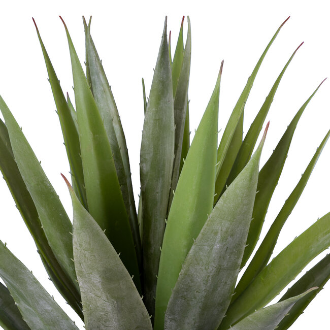 Artificial Garden SISAL AGAVE 20079 Τεχνητό Διακοσμητικό Φυτό Αγαύη Υ60cm Artificial Garden SISAL AGAVE 20079 Τεχνητό Διακοσμητικό Φυτό Αγαύη Υ60cm