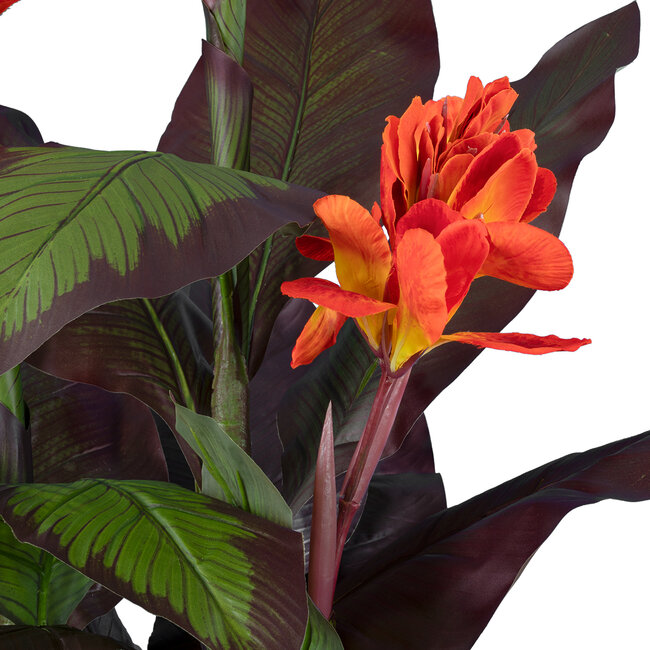 Artificial Garden CANNA INDICA 20209 Τεχνητό Διακοσμητικό Φυτό Ινδική Κάννα Υ160cm