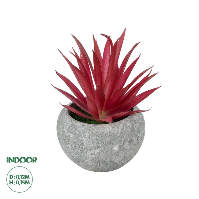 Artificial Garden AIR PLANT TILLANDSIA POTTED PLANT 21035 Διακοσμητικό Φυτό Τιλάντσια Φ12 x Υ15cm Artificial Garden AIR PLANT TILLANDSIA POTTED PLANT 21035 Διακοσμητικό Φυτό Τιλάντσια Φ12 x Υ15cm