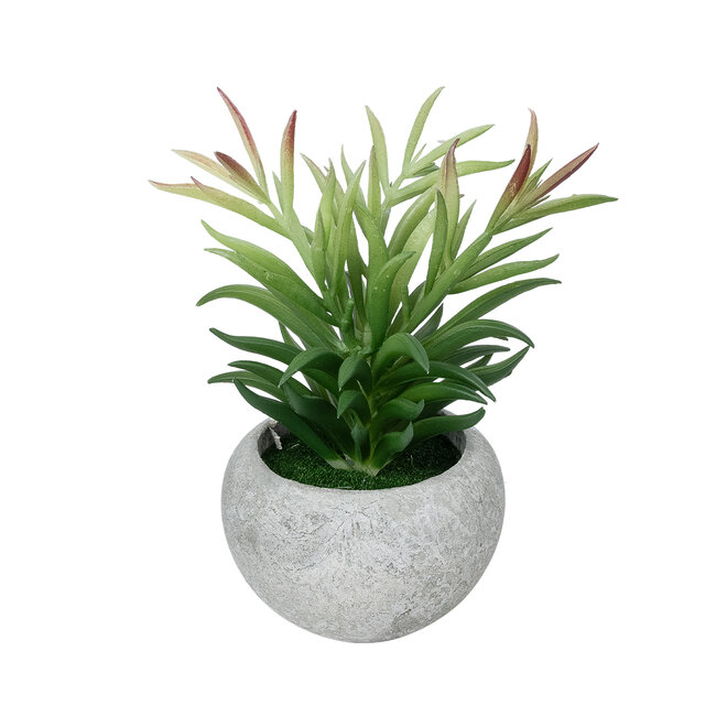Artificial Garden SUCCULENT CRASSULA POTTED PLANT 21038 Διακοσμητικό Φυτό Κρασούλα Φ10 x Υ17cm Artificial Garden SUCCULENT CRASSULA POTTED PLANT 21038 Διακοσμητικό Φυτό Κρασούλα Φ10 x Υ17cm
