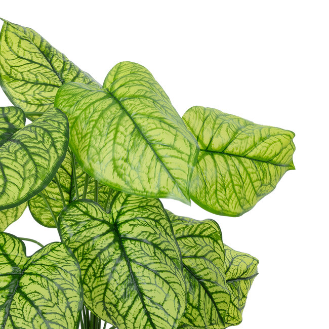 Artificial Garden CALADIUM 20913 Διακοσμητικό Φυτό Καλάντιουμ Υ75cm - 3